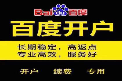 某行业领军企业的SEM广告投放策略