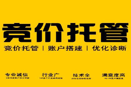 竞价广告在提升品牌知名度中的作用：XX品牌的成功故事